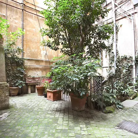 Navona Opera House